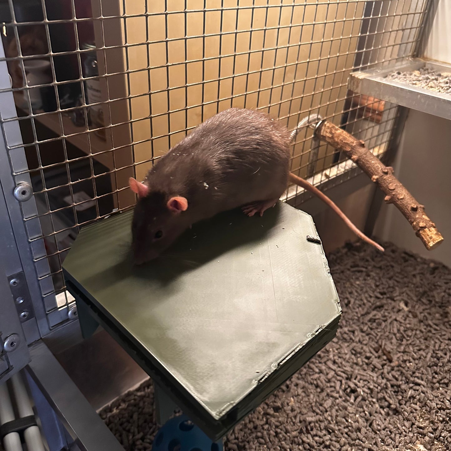 Eckregal (21x21x2,3cm) – Preis reduziert!