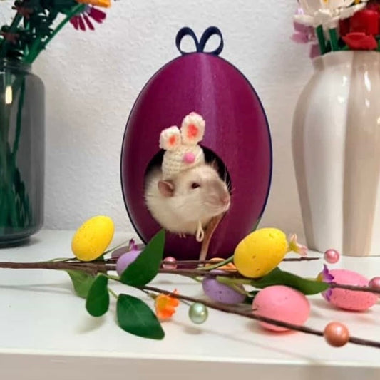 Paashuisje - Eivormig Huisje - Seizoensgebonden Limited Edition